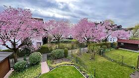 Blick vom Balkon